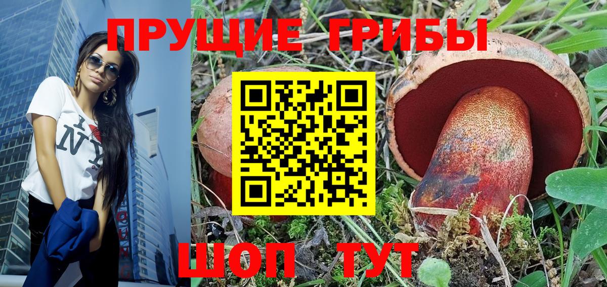 Узловая  Псилоцибиновые грибы Psilocybe  Вход с VPN 